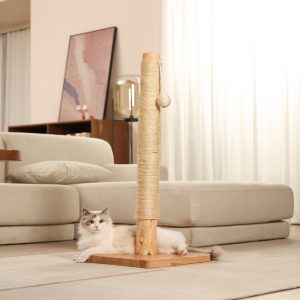 Natural Wood Scratch Column